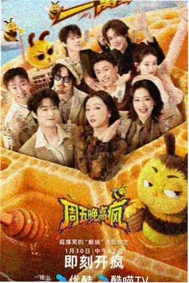 乘风2025 免费追剧